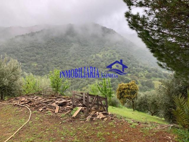 Masía en venta en Córdoba, Alcolea. CórdobaFinca Rustica. Masías.