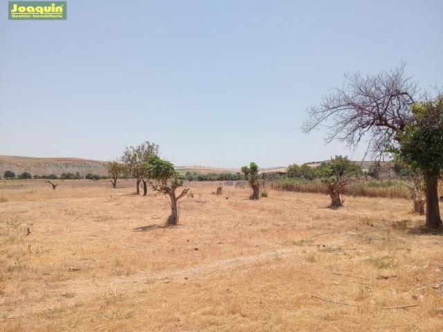 Masía en venta en Córdoba, Sta. Marina San Andrés San Pablo San Lorenzo. FINCA RUSTICA CON CASA. Masías.