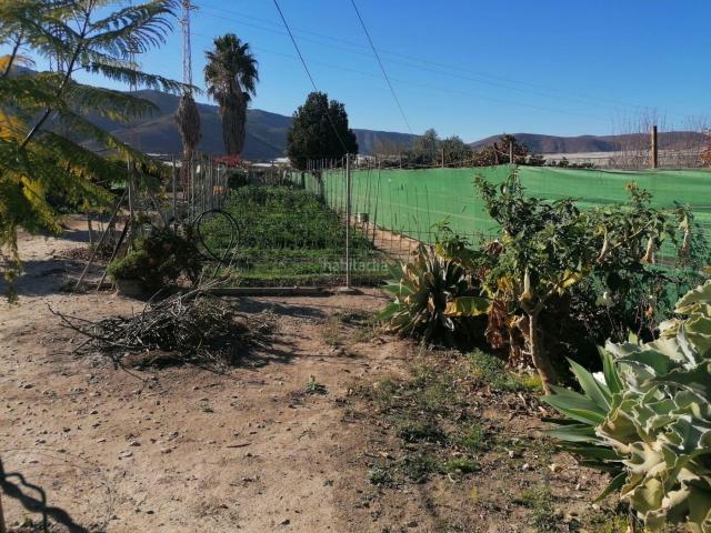 Masía en venta en Dalías. Cortijo con terreno. Masías.