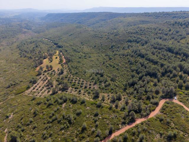 Masía en venta en Enguera. SE VENDEN 3 FINCAS RÚSTICAS EN ENGUERA Valencia 90.000. Masías.