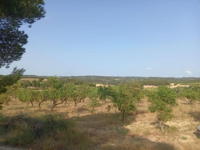 Masía en venta en Fabara. Finca de bosque con agua y edificación 60 m2. Masías.