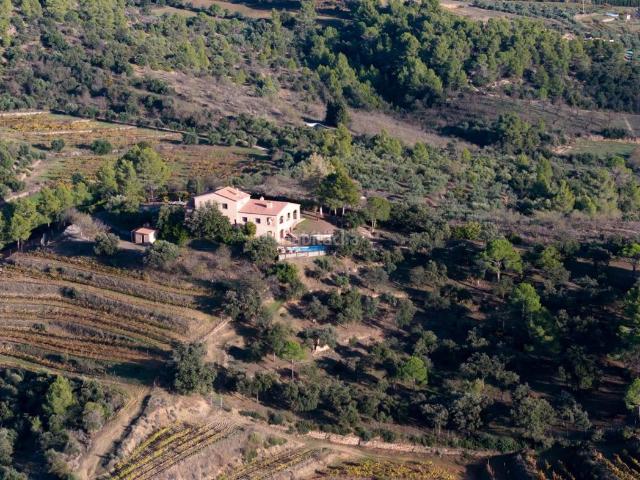 Masía en venta en Falset. Encantador viñedo boutique en el Priorat, Tarragona Lujo y Naturaleza a tu Alcance. Masías.