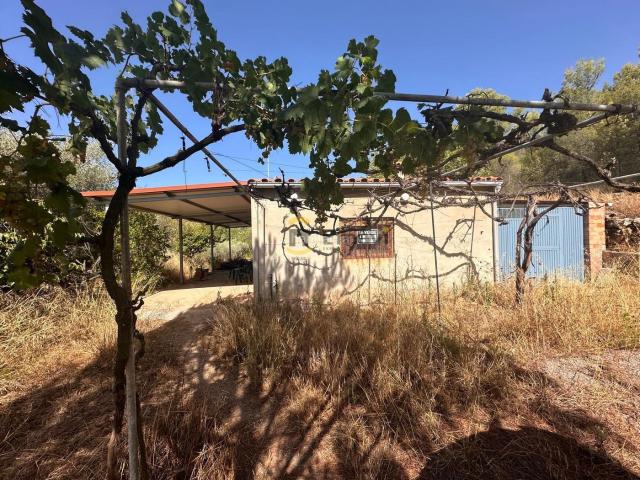 Masía en venta en Figueroles. ? Maset urbano en finca rústica en Figueroles 2.979 m² de terreno. Masías.