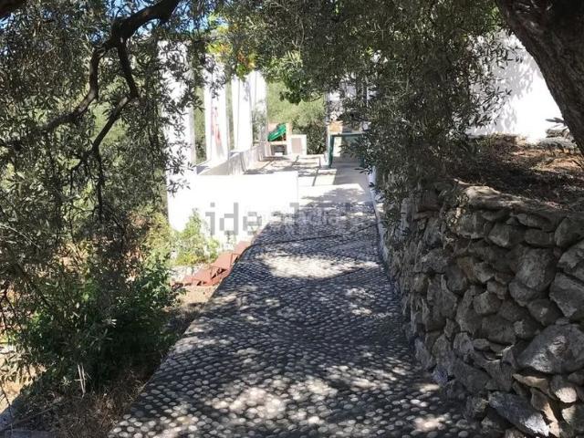 Masía en venta en Frigiliana. A la VENTA Finca rústica de 80 m² con 8.981 m² de terreno situada a 1 kilómetro de Frigiliana. Masías.