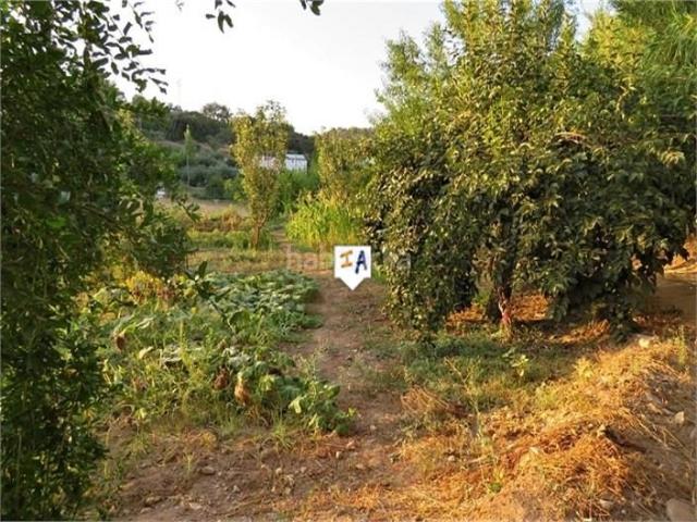 Masía en venta en Fuensanta de Martos. Masías Fuensanta de.