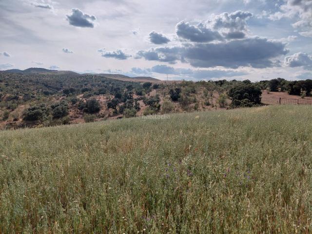 Masía en venta en Fuente de Cantos. Impresionante casa en finca rustica de 680 hectáreas. Masías Fuente de.