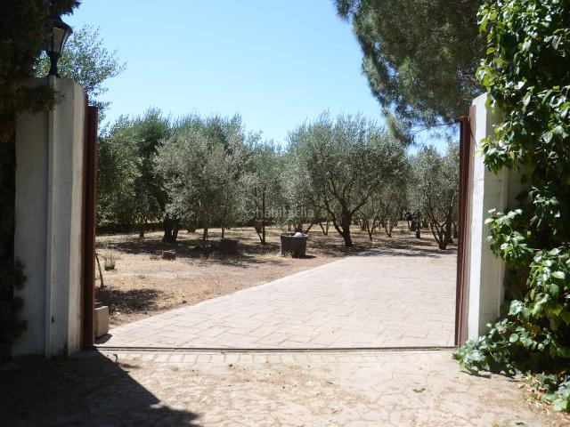 Masía en venta en Fuente el Saz de Jarama. Finca Rústica Legalizada en Fuente el Saz. Masías Fuente el Saz de.