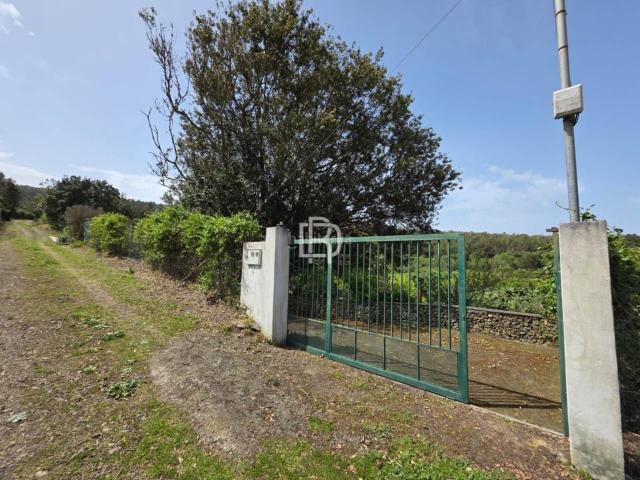 Masía en venta en Garachico. VIVIENDA CON FINCA RÚSTICA Y TERRENO DE MÚLTIPLES POSIBILIDADES EN LA MONTAÑETA. Masías.