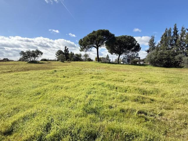 Masía en venta en Gibraleón. FINCA ECOLÓGICA DE 5 HA CON CASA EN GIBRALEÓN. Masías.
