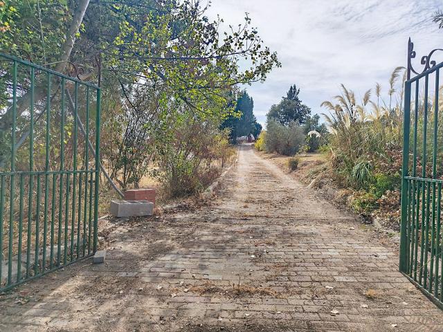 Masía en venta en Gibraleón. Masías.