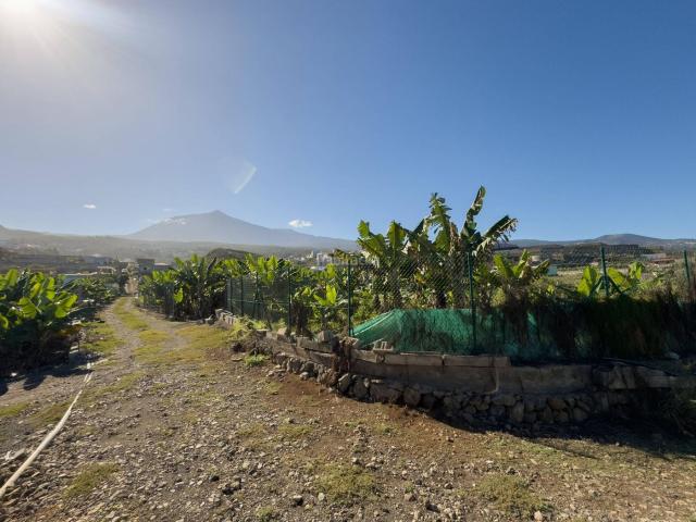 Masía en venta en Guancha La. VENTA DE CASA CON TERRENO EN SANTO DOMINGOLA GUANCHA. Masías Guancha.