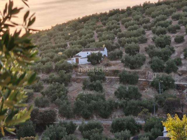 Masía en venta en Iznájar. Cortijo tradicional con encanto junto al Pantano de Iznájar. Arroyo de Priego. Masías.