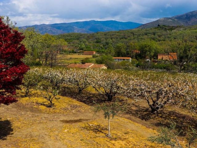 Masía en venta en Jarandilla de la Vera. Masías Jarandilla de la.