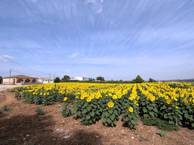Masía en venta en Jerez de la Frontera, Parque Atlántico Ronda este. FINCA CON 3 VIVIENDAS EN RAJAMANCERA JUNTO A LA INA. Masías Jerez de la.