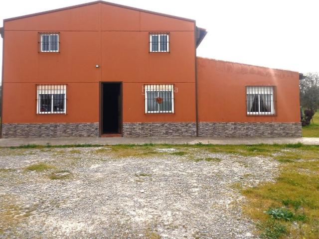 Masía en venta en Jerez de la Frontera, Pozoalbero. Espectacular Parcela Rústica con Casa y Amplias Posibilidades en Trebujena. Masías Jerez de la.