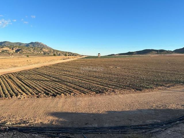Masía en venta en Jumilla. Venta de Finca Rústica en Jumilla Murcia. Masías.