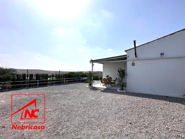 Masía en venta en Lebrija. Oportunidad Finca rústica de 14.064 m con vivienda, olivar y múltiples instalaciones a solo 3 minutos del pueblo.Se vende esta mag. Masías.