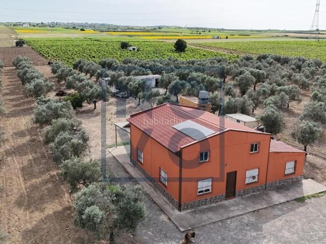Masía en venta en Lebrija. FINCA RUSTICA ZONA LA REYERTA. Masías.