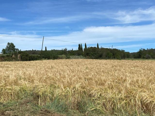 Masía en venta en Maià de Montcal. Masías Maià de.