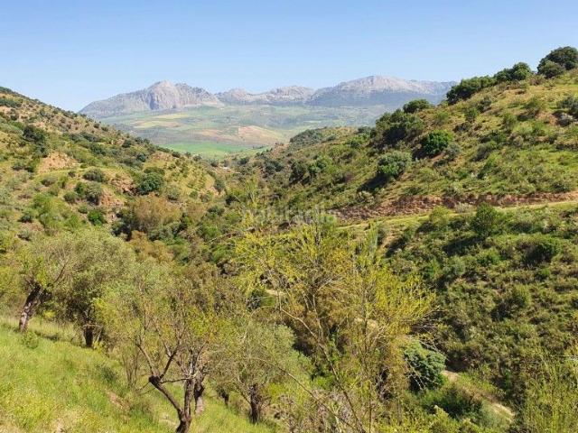 Masía en venta en Málaga, Alegría de la Huerta Jardín de Málaga. Cortijo rústico con potencial. Masías.