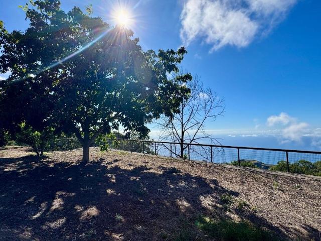 Masía en venta en Matanza de Acentejo La. TENERIFE NORTE Finca natural de ensueño con vistas al Atlántico y total privacidad. Masías Matanza de Acentejo.
