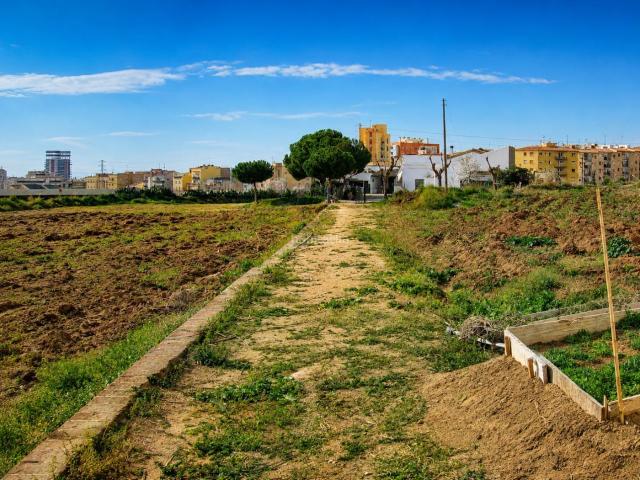 Masía en venta en Mataró, Cinc Sènies. Casa rústica con finca agrícola, pozo y vistas al mar en Mataró. Masías.