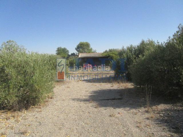 Masía en venta en Membrilla. ValdepeñasFinca Rustica. Masías.