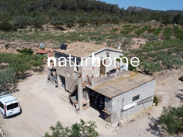 Masía en venta en Miravet Costa Dorada. Fantástica Finca con Masia en Miravet. Masías.