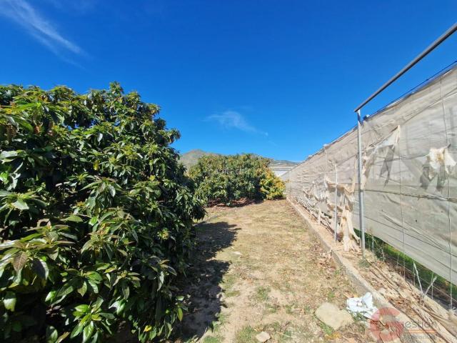 Masía en venta en Molvízar. MolvízarFinca Rustica. Masías.