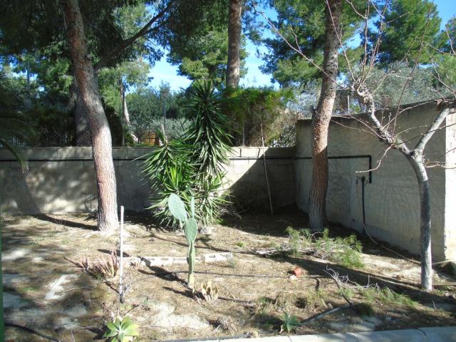 Masía en venta en Molina de Segura, El Pino. SE VENDE CASA RUSTICA CON PARCELA DE 2000 METROS EN CAMPOTEJAR. Masías Molina de.