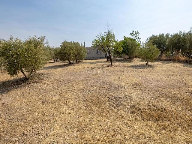Masía en venta en Moraleda de Zafayona. Encanto rústico con casita y olivos en Moraleda de Zafayona ?. Masías Moraleda de.
