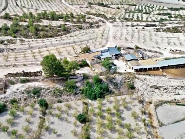 Masía en venta en Moratalla. HACIENDA RUSTICA CON CASA CORTIJO MORATALLA. Masías.