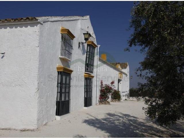Masía en venta en Morón de la Frontera. Cortijo 900 m2, 11 Has, Piscina, Olivos. Masías Morón de la.