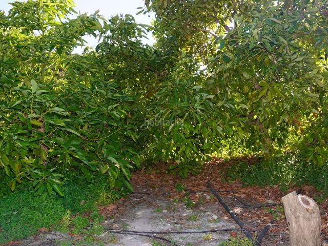 Masía en venta en Motril, Los Tablones La Garnatilla. Finca rústica con cortijo, almacén y agua a dos kilómetros de Los Tablones. Masías.