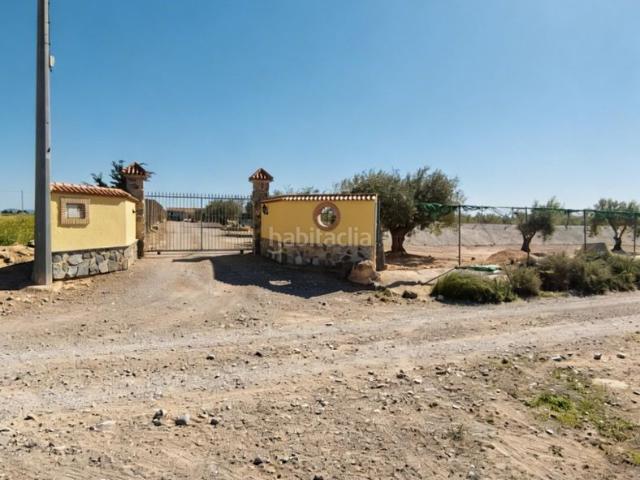 Masía en venta en Murcia, Jerónimo y Avileses. Finca rústica en venta en POLIGONO 16 s n, Centro, Fuente Álamo. Masías.
