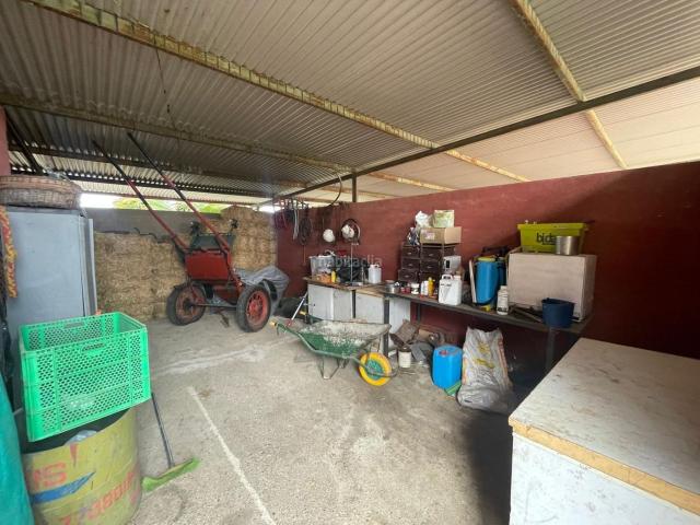 Masía en venta en Niebla. FINCA EN VENTA NIEBLA. Masías.
