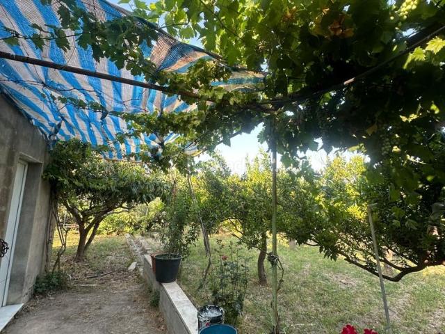 Masía en venta en Olula del Río. CORTIJO CON TERRENO AGRÍCOLA, OLIVOS, ÁRBOLES FRUTALES Y AGUA EN OLULA DEL RÍO, ALMERÍA. Masías Olula del.