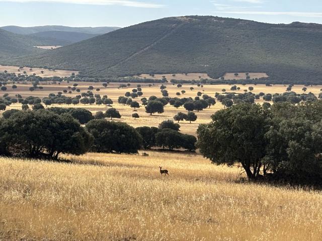 Masía en venta en Orgaz. Finca Rúst. en venta en Toledo, 3 dormitorios. Masías.