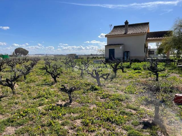 Masía en venta en Palacios y Villafranca Los. Casa rural en venta en Los palacios y villafranca. Masías Palacios y Villafranca.