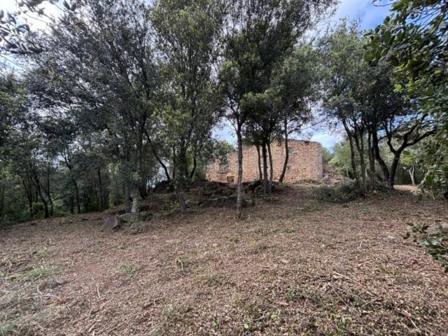 Masía en venta en Palol de Revardit. Masías Palol de.