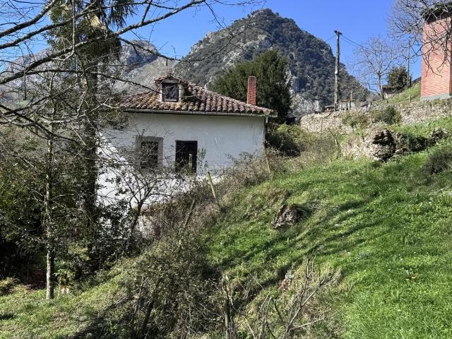 Masía en venta en Peñamellera Alta. CASA ASTURIANA. Masías Peñamellera.