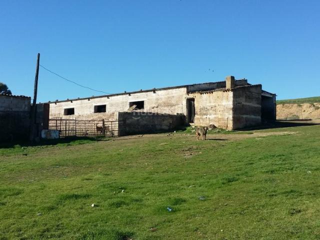 Masía en venta en Peñarroya Pueblonuevo. FINCA RÚSTICA ENTRE BELMEZ Y PEÑARROYAPUEBLONUEVO. Masías Peñarroya.