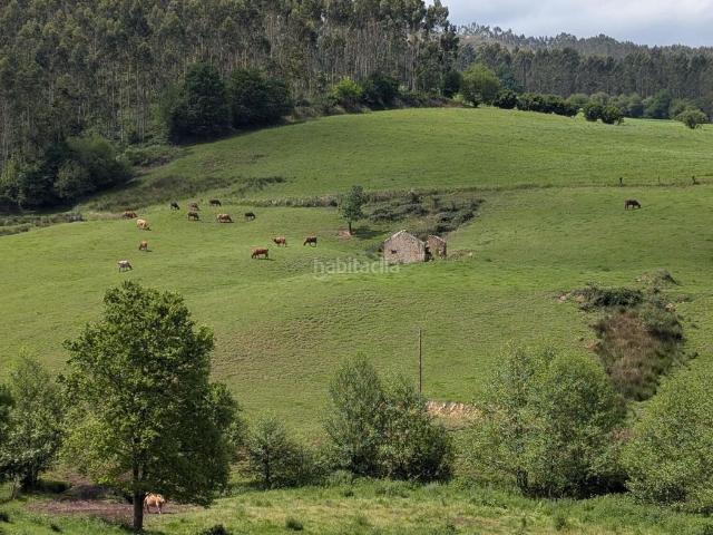 Masía en venta en Piélagos, Renedo. Casa Rural en venta en Renedo, 4 dormitorios. Masías.