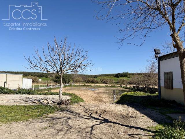 Masía en venta en Pilas. Finca rústica de 3.029 m preparada para explotación equina con nave, boxes y vivienda. Masías.