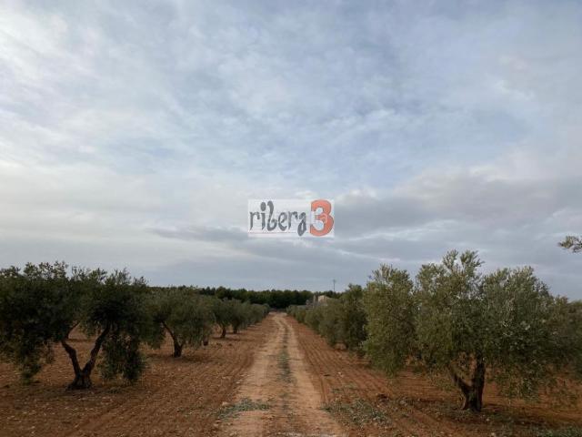 Masía en venta en Pozohondo. Finca Rúst. en venta en Pozohondo, 4 dormitorios. Masías.