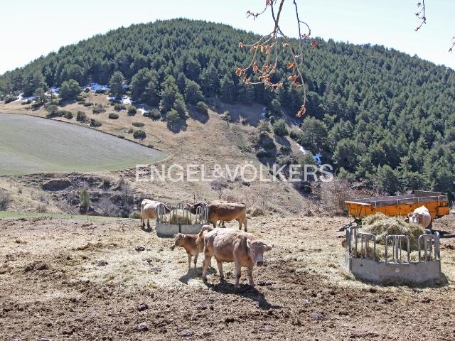 Masía en venta en Prullans Pirineos. Finca rústica en un entorno inmejorable. Masías.