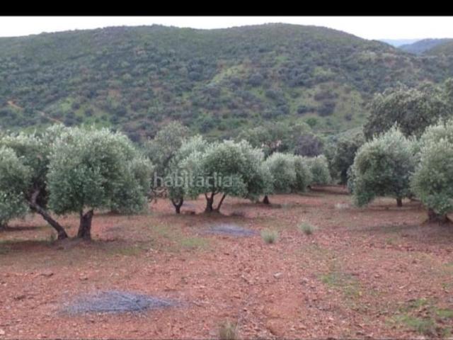 Masía en venta en Puebla de los Infantes La. FINCA ZONA PUEBLA DE LOS INFANTES. Masías Puebla de los Infantes.