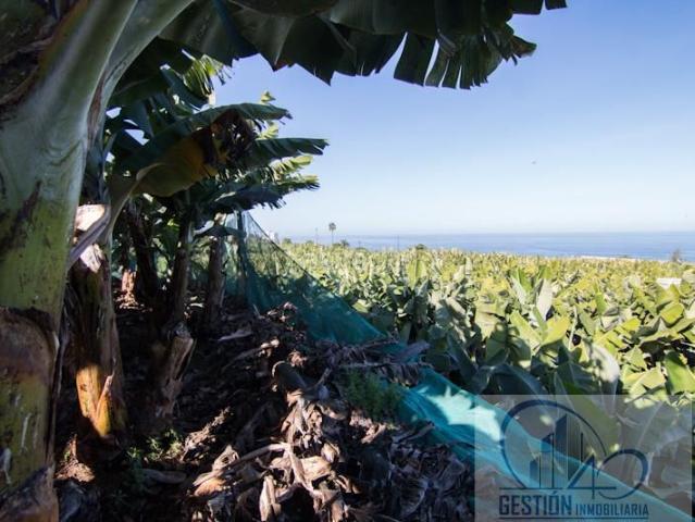 Masía en venta en Puerto de la Cruz, Playa Jardín. Puerto de la CruzFinca Rustica. Masías Puerto de la.