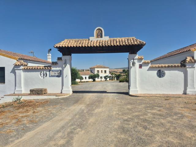 Masía en venta en Puerto Serrano. Un oasis andaluz único: finca de 70 hectáreas con dos cortijos y explotación de olivar. Masías Puerto.