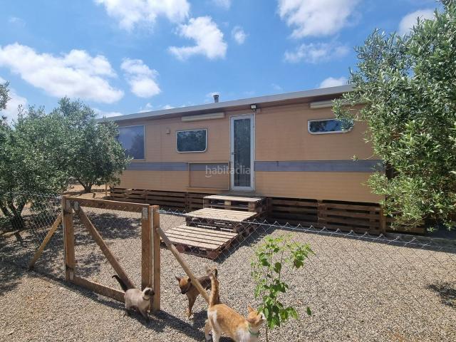 Masía en venta en Reus, Llevant. CASA CAMÍ DE CONSTANTÍ. Masías.